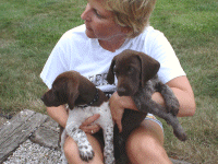 Shelly and Pups after arriving in Macon