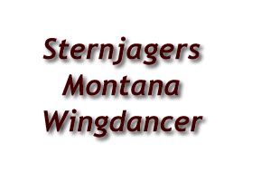 Sternjagers Montana Wingdancer